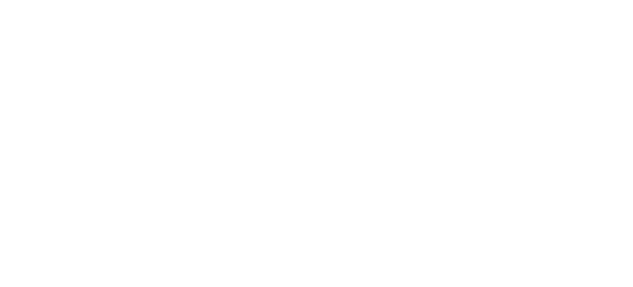 Fondazione ISMU