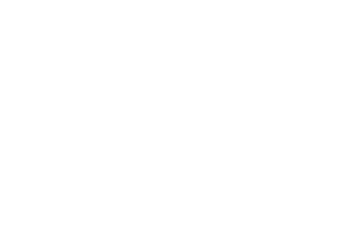 Politecnico di Milano