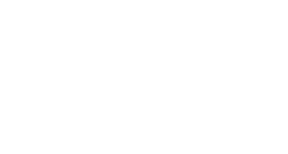 Fondazione Torino Social Impact